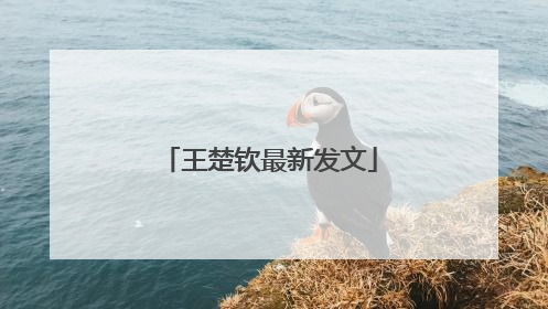 王楚钦最新发文